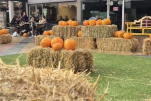 Close up with tillys